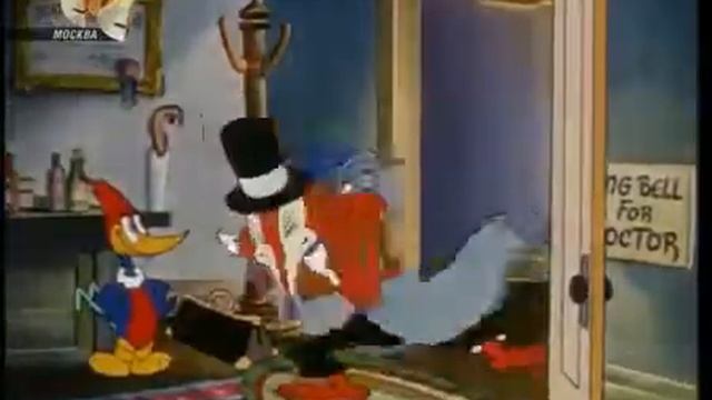 Дятел Вуди Woody Woodpeker мультсериал 90-х