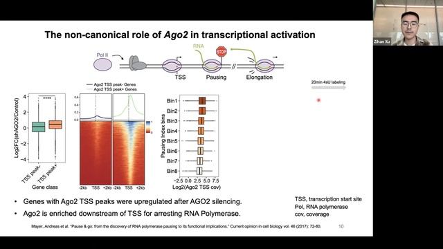CICA Virtual Seminar Series- Xu- 4/4/2023 смотреть онлайн