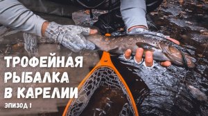 ТРОФЕЙНАЯ РЫБАЛКА В КАРЕЛИИ. Ловля форели на спиннинг. Карелия радует уловом. Эпизод 1