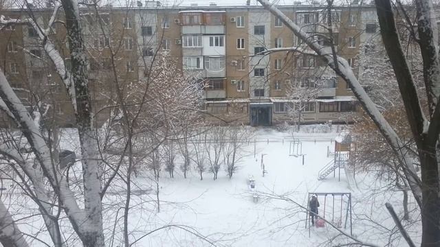 Зимнее настроение_Выпал первый снег_Зима вступила в свои права