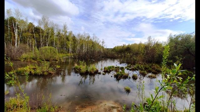 А  Вознесенский  Не возвращайтесь к былым возлюбленным #стихиолюбви #поэты20века