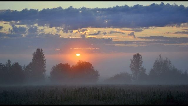А  Блок  На поле Куликовом  Отрывок 3 из 3  Опять над полем Куликовым #поэтысеребряноговека