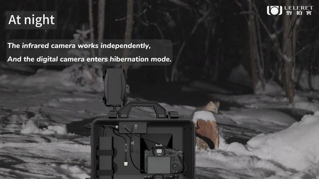Smart camera box auto capturing, camera trap,wildlife photography смотреть онлайн