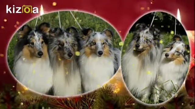 Слайд-шоу: Happy New Year