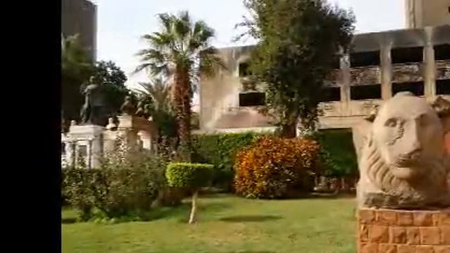 Virginia Sharm 4* (Egypt)