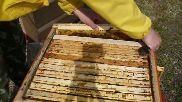 Ставлю магазины. смотреть онлайн