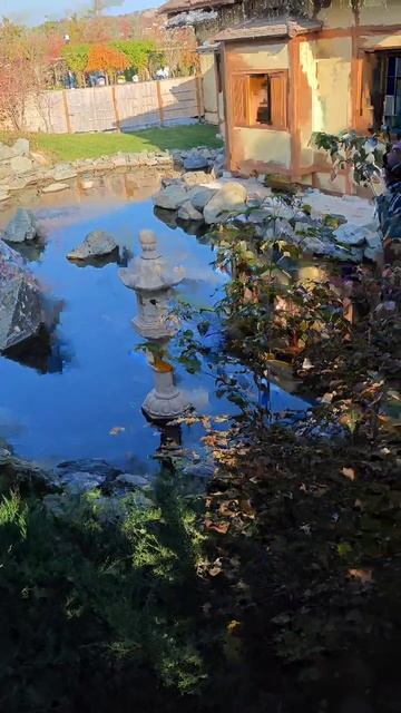 японский сад Краснодар мостик мост к озеру смотреть онлайн