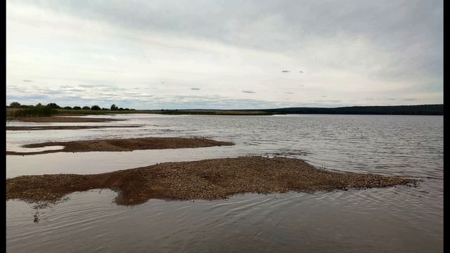 Н  Некрасов  Пчёлы #стихиомудрости #поэты19века