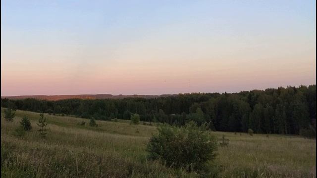 Н Панченко  Не заслуга быть белым #философскаялирика #поэзия20века #гражданскаялирика