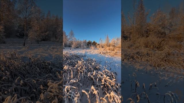 Тёплое зимнее солнце | Speedy Bee Mario 5X | Insta360 AcePro вертикально