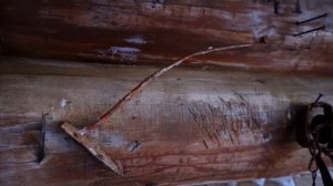 КУПИЛ 2 ДОМА В ДЕРЕВНЕ | НЕЗВАННЫЕ ГОСТИ ПО НОЧАМ | МЕЛЬНИЦА