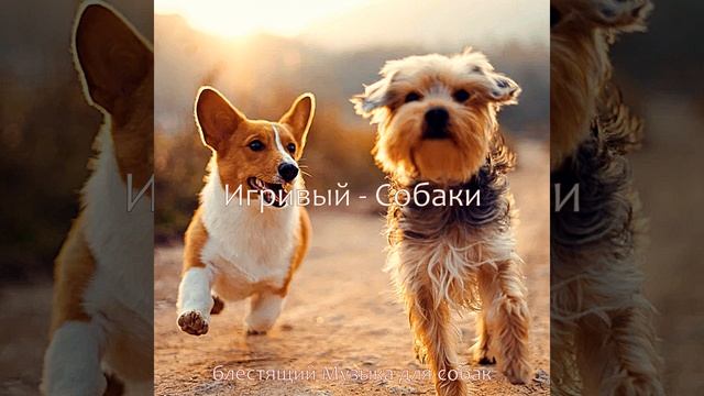 Звуки (Спящие собаки) смотреть онлайн