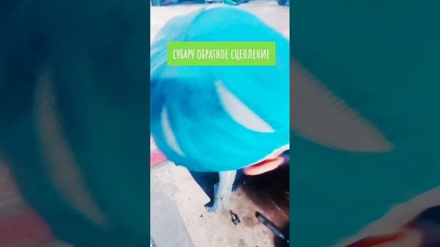 Субару обратное сцепление #car #mechanic #repair #tool #worksmarternotharder #сто #automobile смотреть онлайн
