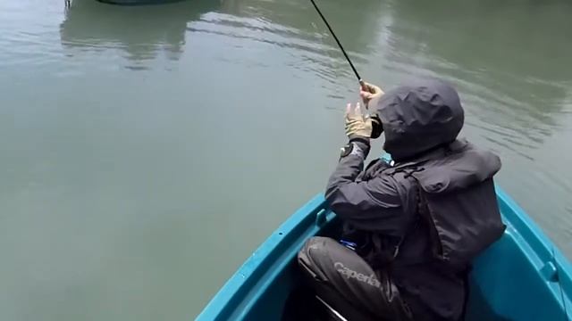 canne a l'eau смотреть онлайн