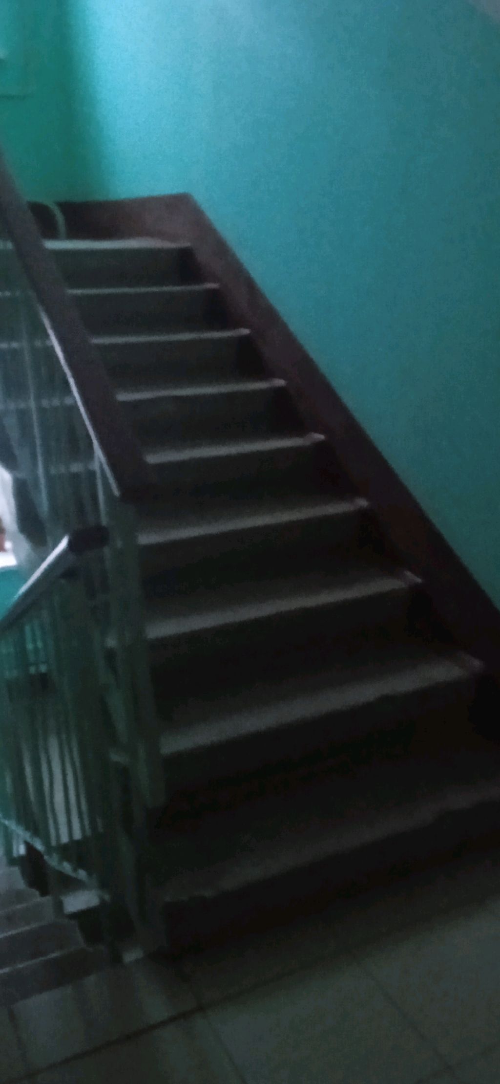 опять шиза с лп