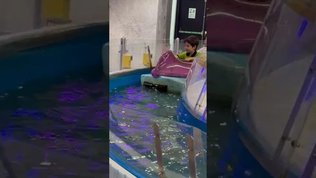 Мини-аквапарк - Mini water park смотреть онлайн