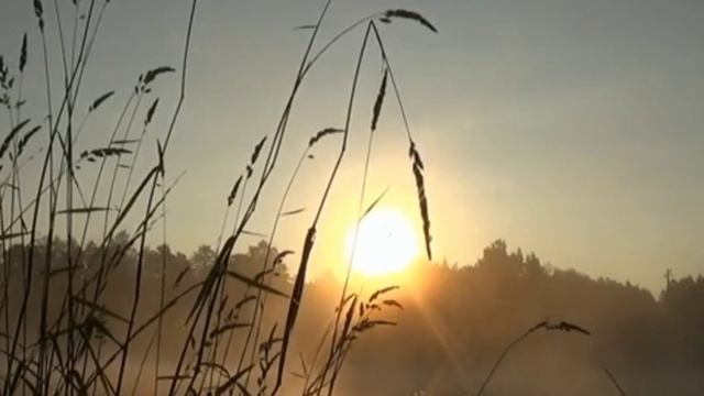 ЗОЛОТОЕ РУНО смотреть онлайн