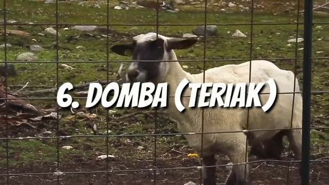 KUMPULAN EFEK SCENE LUCU UNTUK YOUTUBER/ terbaru 2019 смотреть онлайн