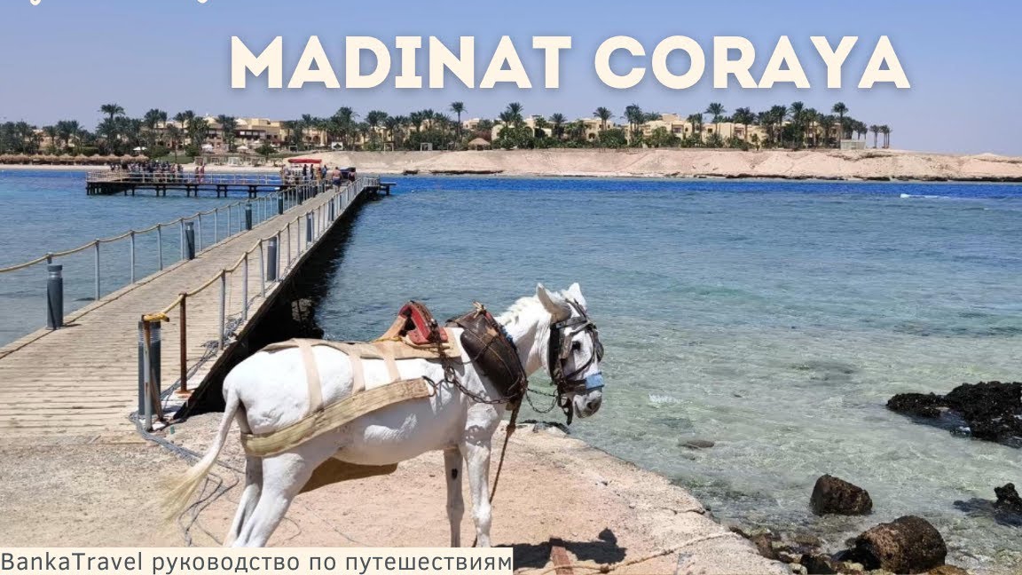 Рай на Красном море: Прогулка по набережной и риф отелей Jaz Marsa Alam! Египет. Madinat Coraya смотреть онлайн
