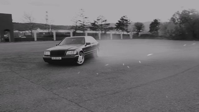 KaiRos-600 Мерин