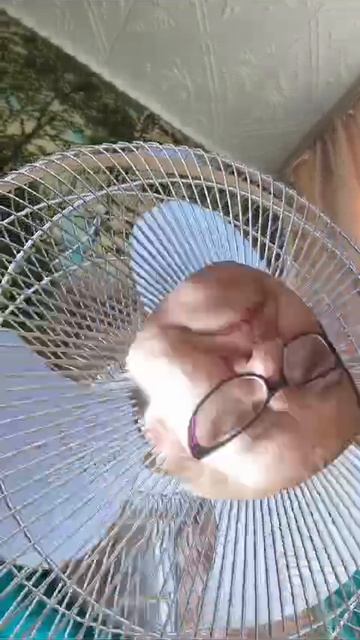 вентилятор