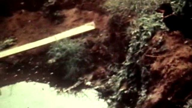 Всесоюзный киножурнал "Фитиль" № 311 1988 г смотреть онлайн