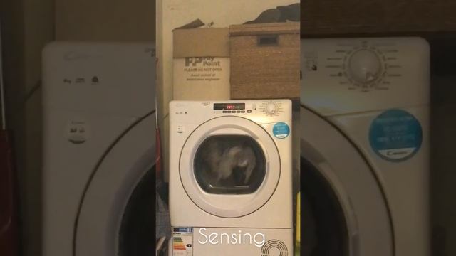 Candy tumble dryer sensing gone wrong смотреть онлайн