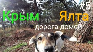 Крым | Ялта | Дорога домой | #5