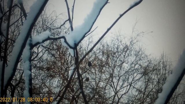 Все в кучу - все ли во благо ? смотреть онлайн