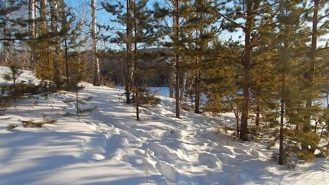 После метели прогулялся по маршруту смотреть онлайн