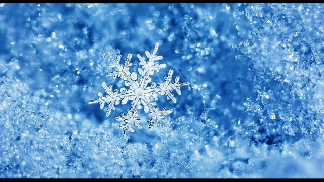 К  Бальмонт  Снежинка  Светло-пушистая #поэтысеребряноговека #стихиозиме