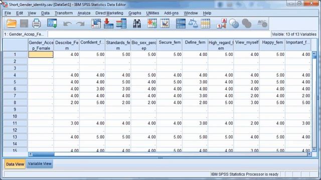 IBM SPSS Statistics 20: Factor Analysis смотреть онлайн