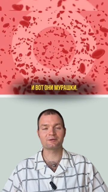 ❗️Откуда берутся МУРАШКИ? #мурашки #эмоции #адреналин #рефлекс #музыка #страх #радость #холод смотреть онлайн
