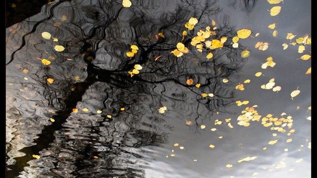 Н Некрасов  Перед дождём #стихиобосени #поэты19века