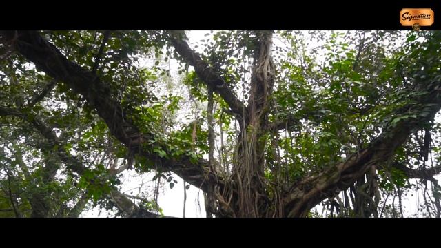 Gaura | Award Winning Short Film | Signature IFP 2019 смотреть онлайн