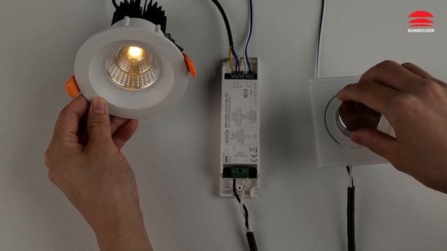 12W DALI DT8 NFC Enabled LED Driver(Constant Current) _SRP-2309N-12CCT100-700 смотреть онлайн