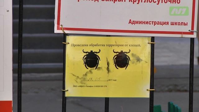 Травили и будут травить. Первый этап обработки от клещей прошел смотреть онлайн