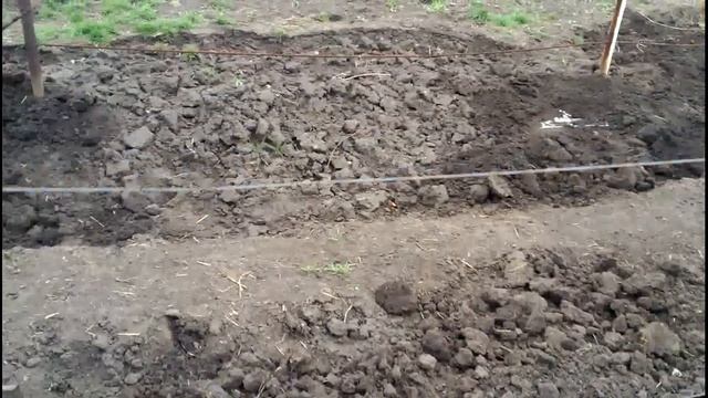 Раскрываю виноградные кусты 06-04-2017 смотреть онлайн