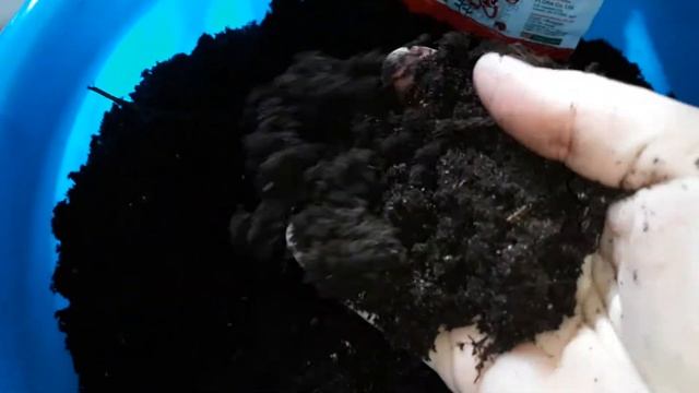 ✔🌱УЛУЧШАЕМ ГРУНТ ДЛЯ РАССАДЫ! ✔СУПЕР СРЕДСТВО!😁👍 смотреть онлайн