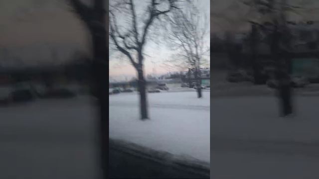 Дорога домой,Амазон-Вроцлав смотреть онлайн