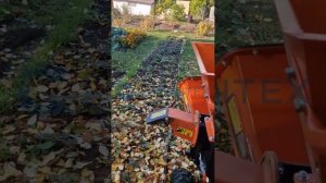 Садовый измельчитель веток, вакуумный пылесос, шредер GBK-70 3в1 обзор. РУБИТЕХ