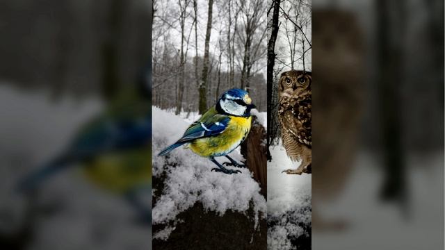 23 января 2025 года