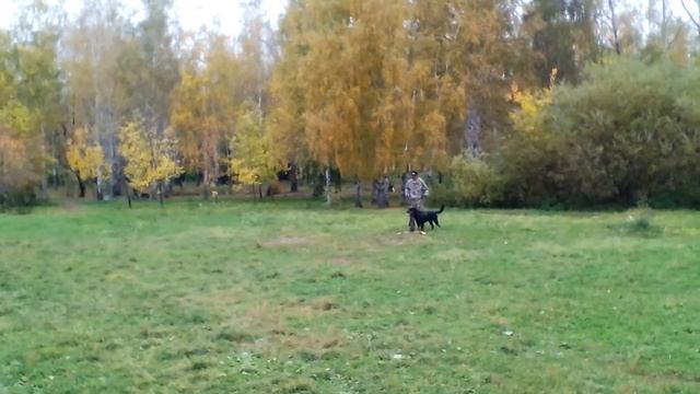 Большой Русский Ринг. тренинг Самурай из "Дома Тора" смотреть онлайн