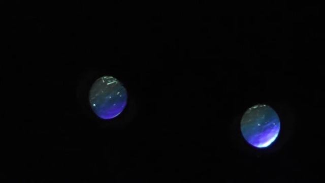 Глаза кошки смотреть онлайн