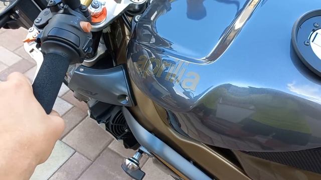 Aprilia RSV 1000 Tuono 2003