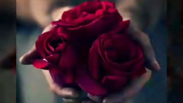 😥 💗 Самие Лучший Песня Для Светы 🎵 New Music 🎵 Noser Sadr 💗 смотреть онлайн