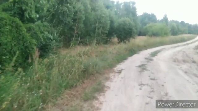 Рои* 2021* Пора закрывать! смотреть онлайн