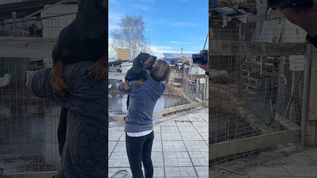 У нас сегодня фотосессия для пристроя 📸 смотреть онлайн