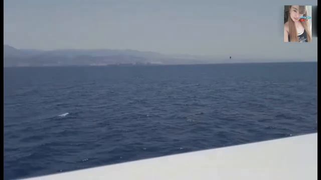 Eilat Marina Israel Tour 2021 || part 1 смотреть онлайн