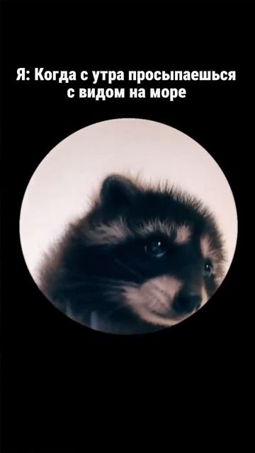 Зачем нужен дом в Сочи? Недвижимость в Сочи. ГРЦ Сочи. смотреть онлайн